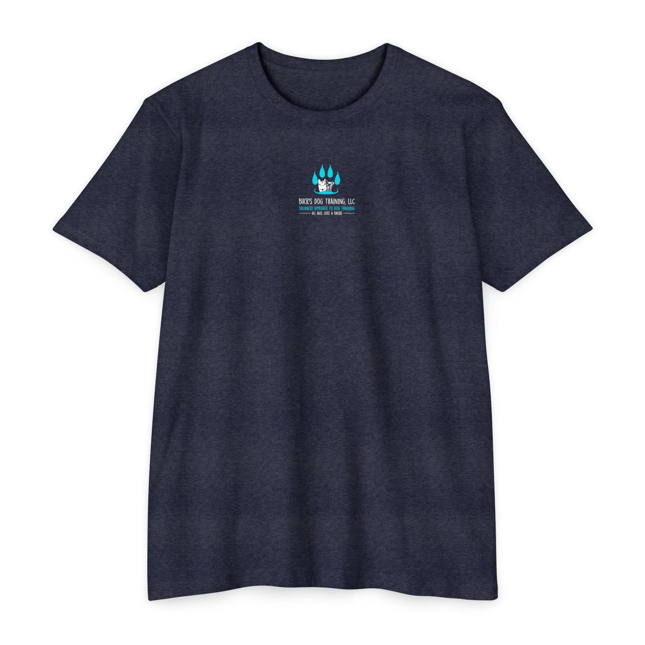Cozy Wear Fit Unisex CVC Jersey T-shirt