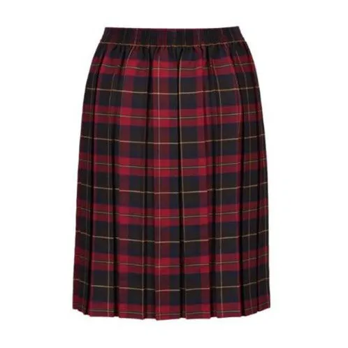 Visual Outfit Burgundy Tartan Skirt