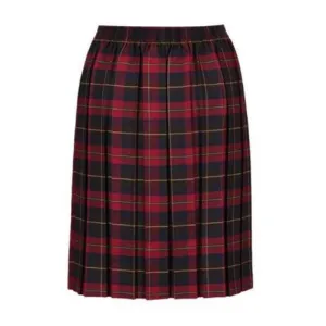 Burgundy Tartan Skirt Graceful Look Modern Combo