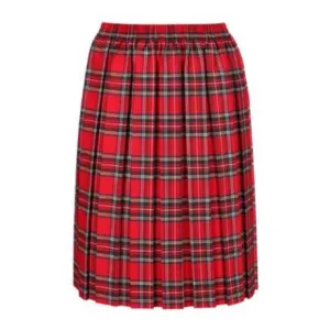 Fashion Detail Red Tartan Skirt
