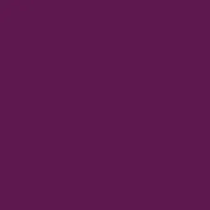 Mix - and - Match Columbia Women Purple Glacial Fleece III 1/2 Zip