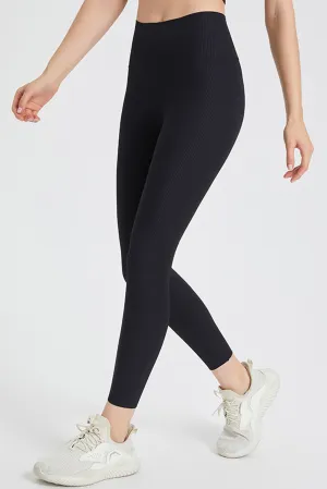 ?????????????? Winter Sports Rib Knit Casual Day Mesh Panel